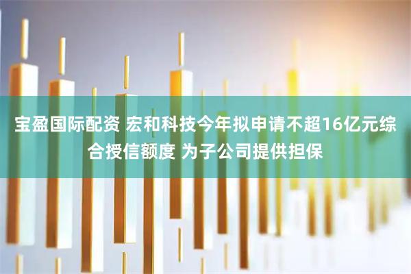 宝盈国际配资 宏和科技今年拟申请不超16亿元综合授信额度 为子公司提供担保