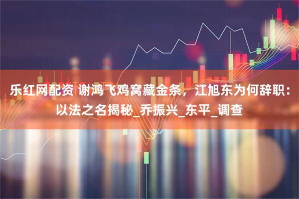 乐红网配资 谢鸿飞鸡窝藏金条，江旭东为何辞职：以法之名揭秘_乔振兴_东平_调查
