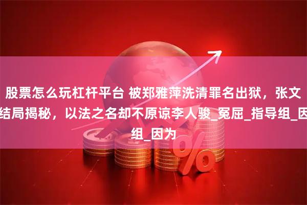 股票怎么玩杠杆平台 被郑雅萍洗清罪名出狱，张文菁结局揭秘，以法之名却不原谅李人骏_冤屈_指导组_因为