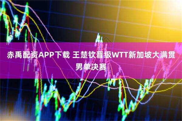 赤禹配资APP下载 王楚钦晋级WTT新加坡大满贯男单决赛