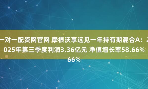 一对一配资网官网 摩根沃享远见一年持有期混合A:2025年第三季度利润3.36亿元 净值增长率58.66%
