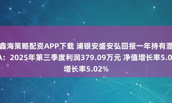 鑫海策略配资APP下载 浦银安盛安弘回报一年持有混合A:2025年第三季度利润379.09万元 净值增长率5.02%