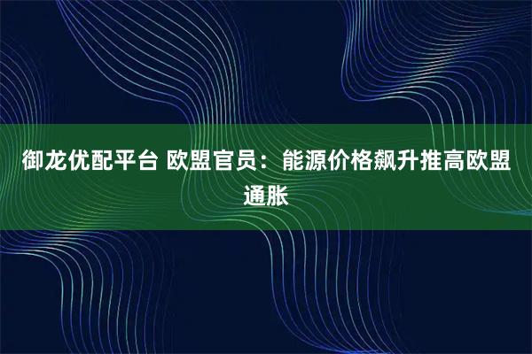 御龙优配平台 欧盟官员：能源价格飙升推高欧盟通胀
